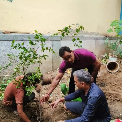 Plantation Drive at Village Pitampura